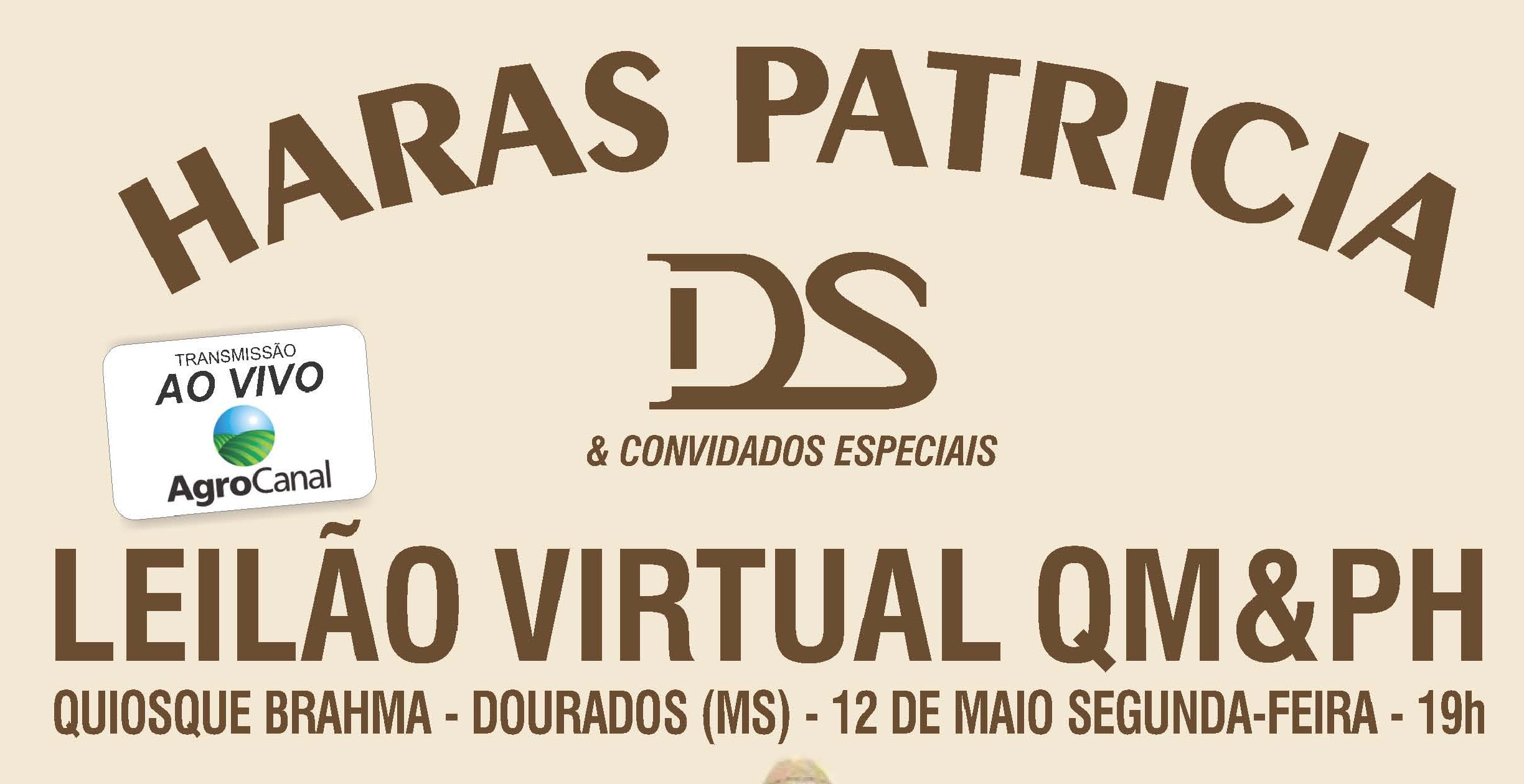 LEILAO VIRTUAL HARAS PATRICIA 