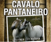 12º LEILÃO CAVALO PANTANEIRO