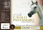 13º LEILÃO CAVALO PANTANEIRO