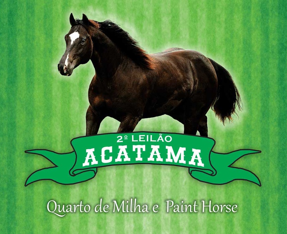 2º LEILÃO ACATAMA - QM & PH