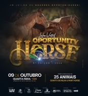 8° LEILÃO VIRTUAL OPORTUNITY HORSE