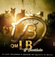 LEILÃO VIRTUAL HORSE SALE QM LB