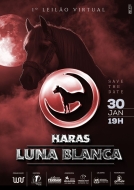 LEILÃO VIRTUAL HARAS LUNA BLANCA