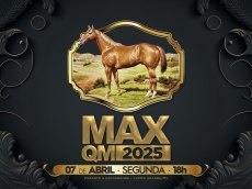 LEILÃO MAX QM 2025