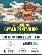17° LEILÃO DO CAVALO PANTANEIRO