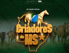 11° LEILÃO CRIADORES DO MS