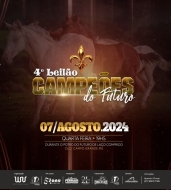 5° LEILÃO CAMPEÕES DO FUTURO