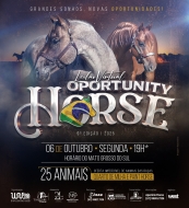 9° LEILÃO VIRTUAL OPORTUNITY HORSE