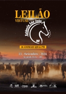 3° LEILÃO VIRTUAL ESTANCIA SÃO JOÃO