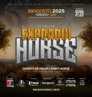 2° LEILÃO EXPOAQUI HORSE