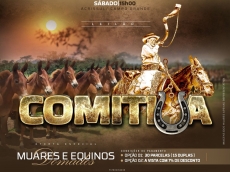 9° LEILÃO COMITIVA