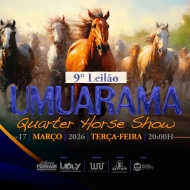 8º LEILÃO VIRTUAL UMUARAMA QUARTER HORSE SHOW