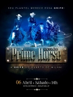 LEILÃO PRIME HORSE