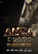 XIII LEILÃO ANCA ELITE