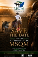 1º LEILÃO POTRO DO FUTURO MSQM
