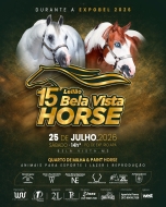 15º LEILÃO BELA VISTA HORSE
